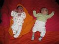 Yente 1 maart 2009  (20)